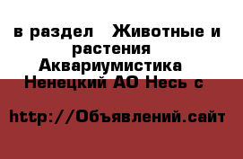  в раздел : Животные и растения » Аквариумистика . Ненецкий АО,Несь с.